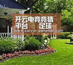 开云电竞竞猜平台 - 足球篮球实时竞猜