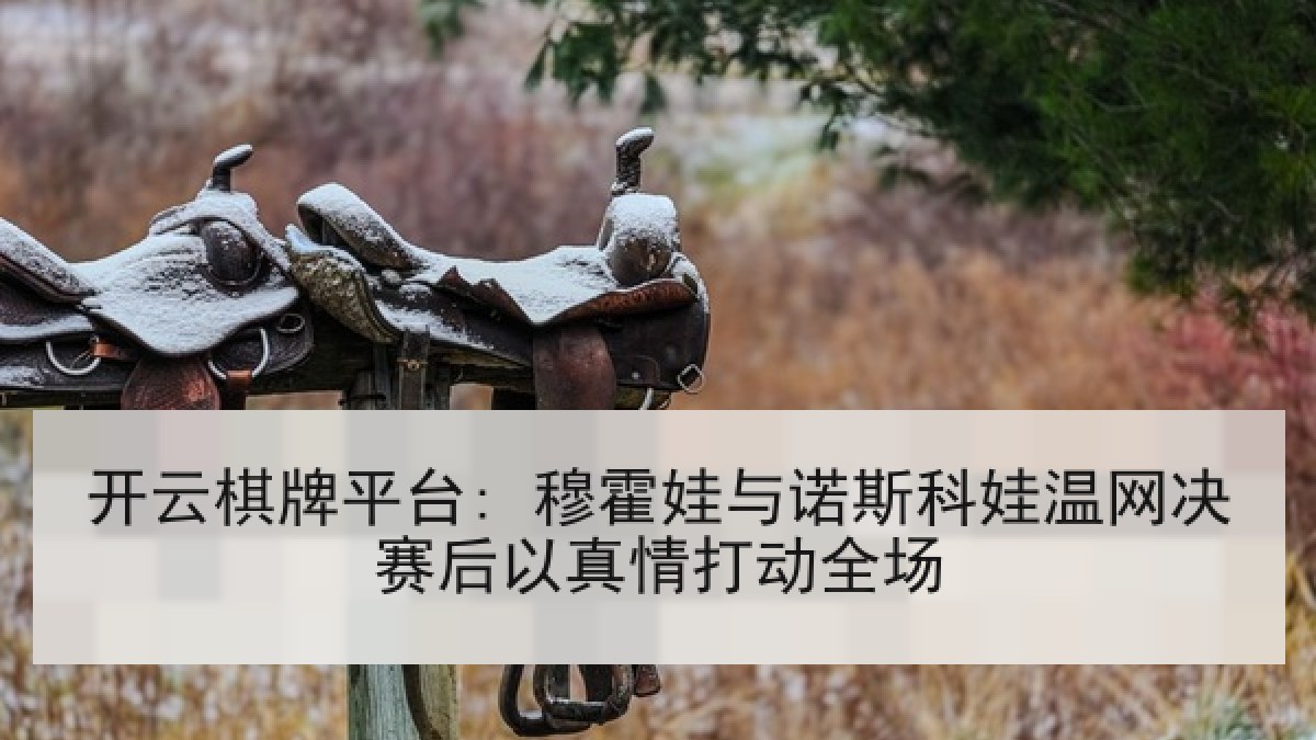 开云棋牌平台: 穆霍娃与诺斯科娃温网决赛后以真情打动全场