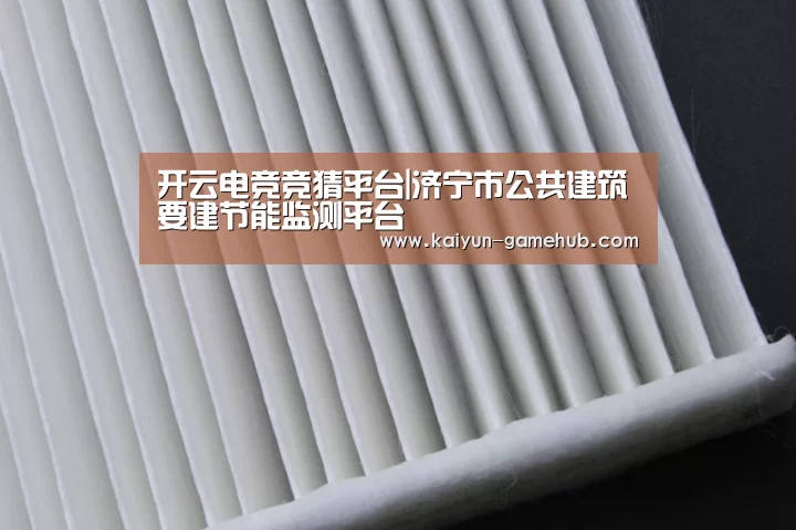 开云电竞竞猜平台|济宁市公共建筑要建节能监测平台(图3) 开云电子游艺